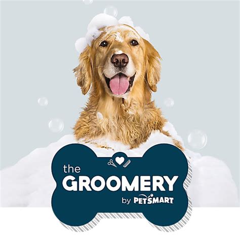 The Groomery by PetSmart is located at this address 535 Brentwood Rd. . The groomery denver nc